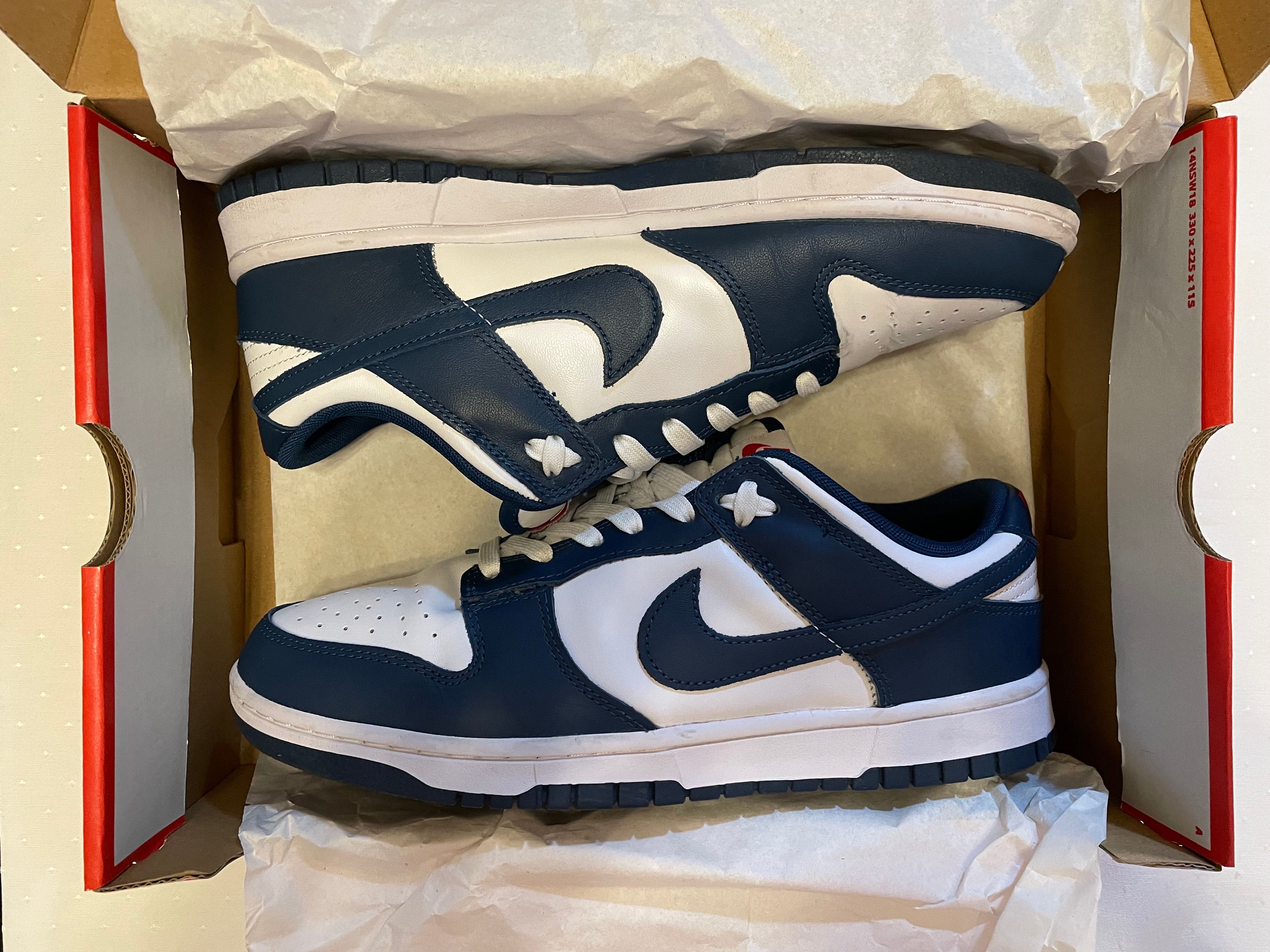 Nike Dunk Low "Valerian Blue"