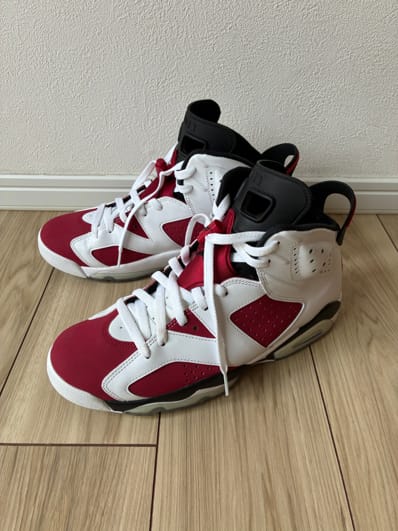 Nike Air Jordan 6 "Carmine" (2021)