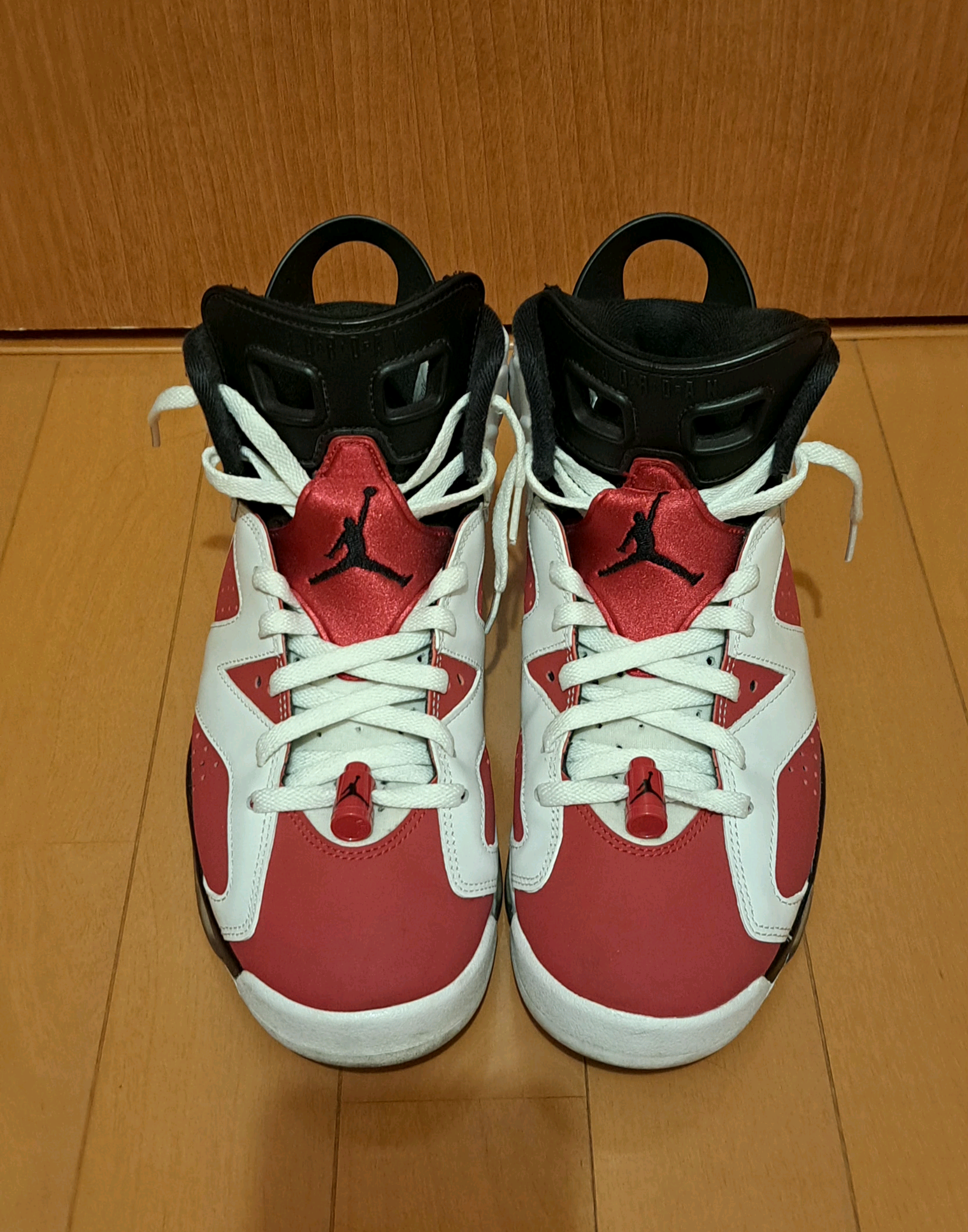 Nike Air Jordan 6 "Carmine" (2021)