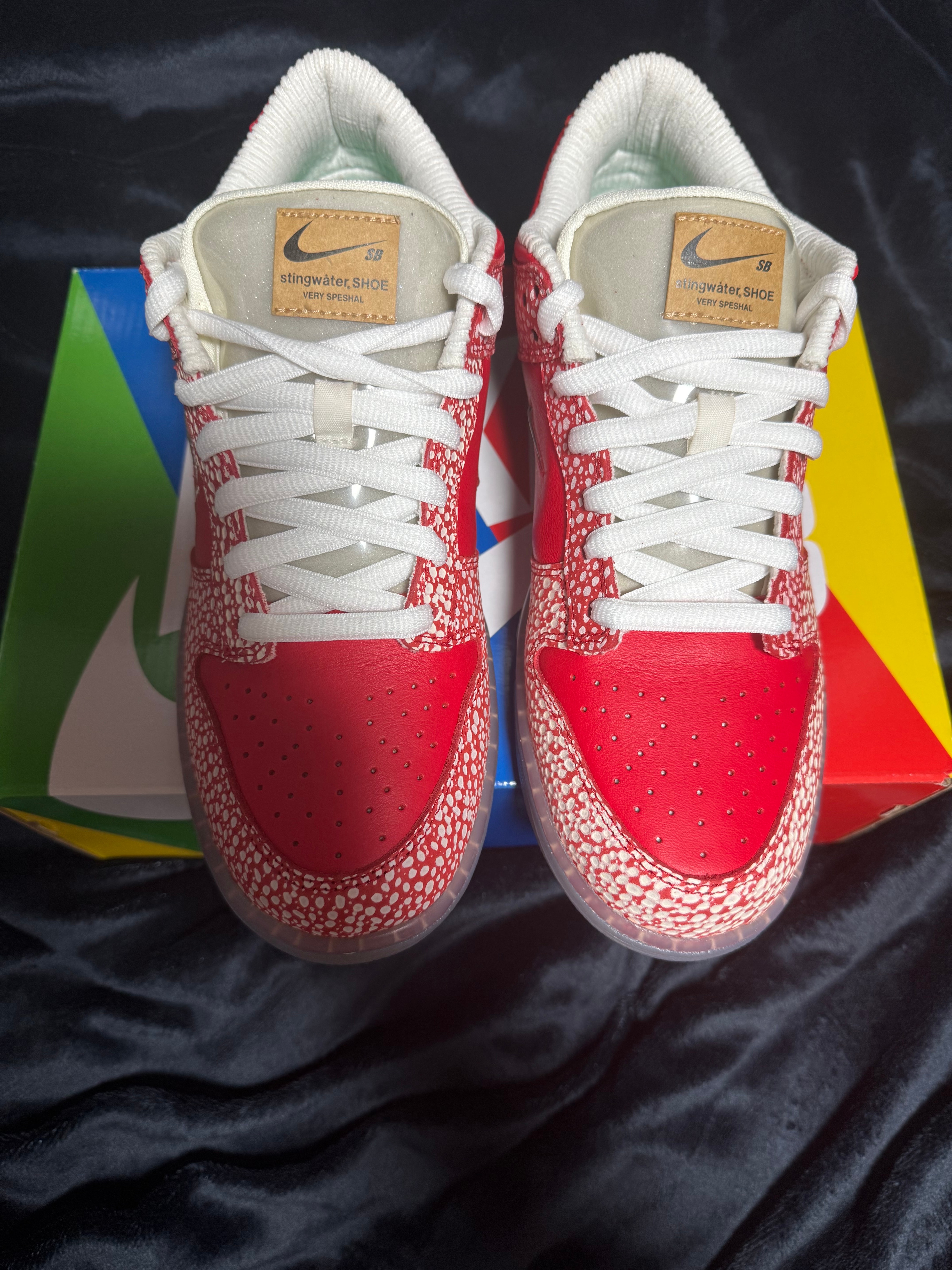 Stingwater × Nike SB Dunk Low "Magic Mushroom"