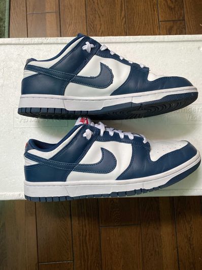 Nike Dunk Low "Valerian Blue"