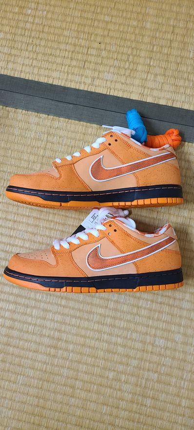 Concepts × Nike SB Dunk Low SP "Orange Lobster"
