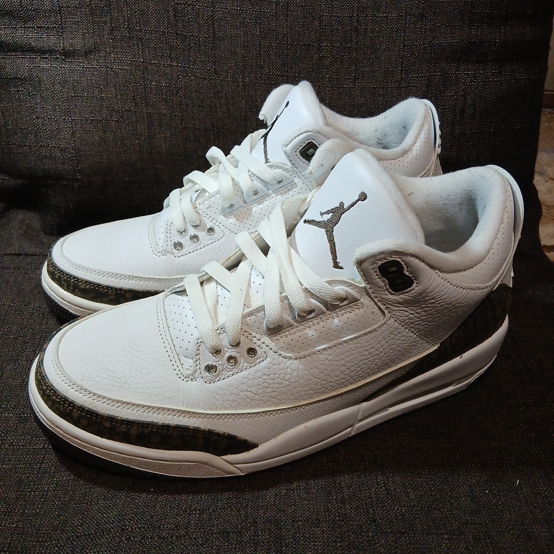 Nike Air Jordan 3 Retro "Mocha" (2018)