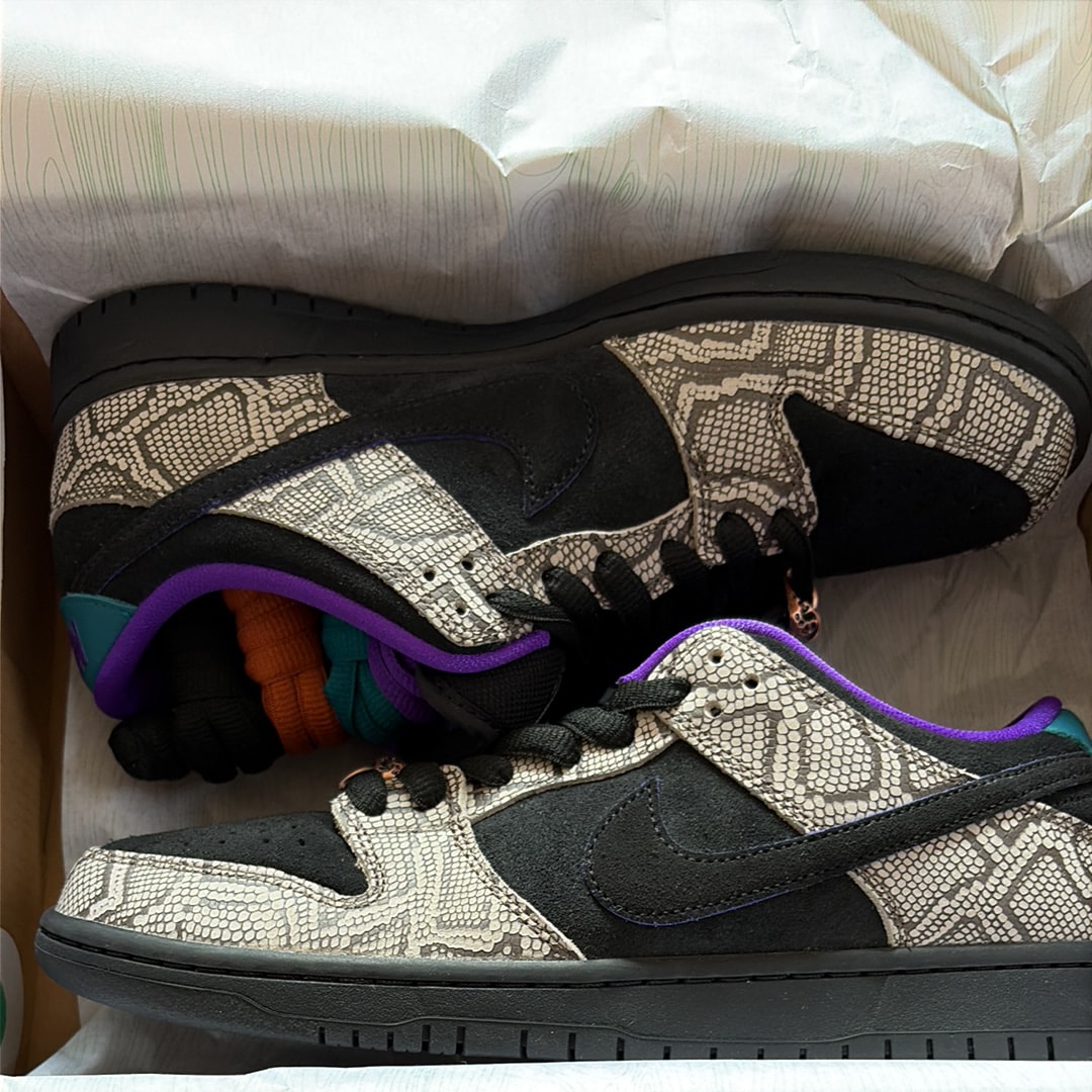 Dashawn Jordan × Nike SB Dunk Low "Copperhead"