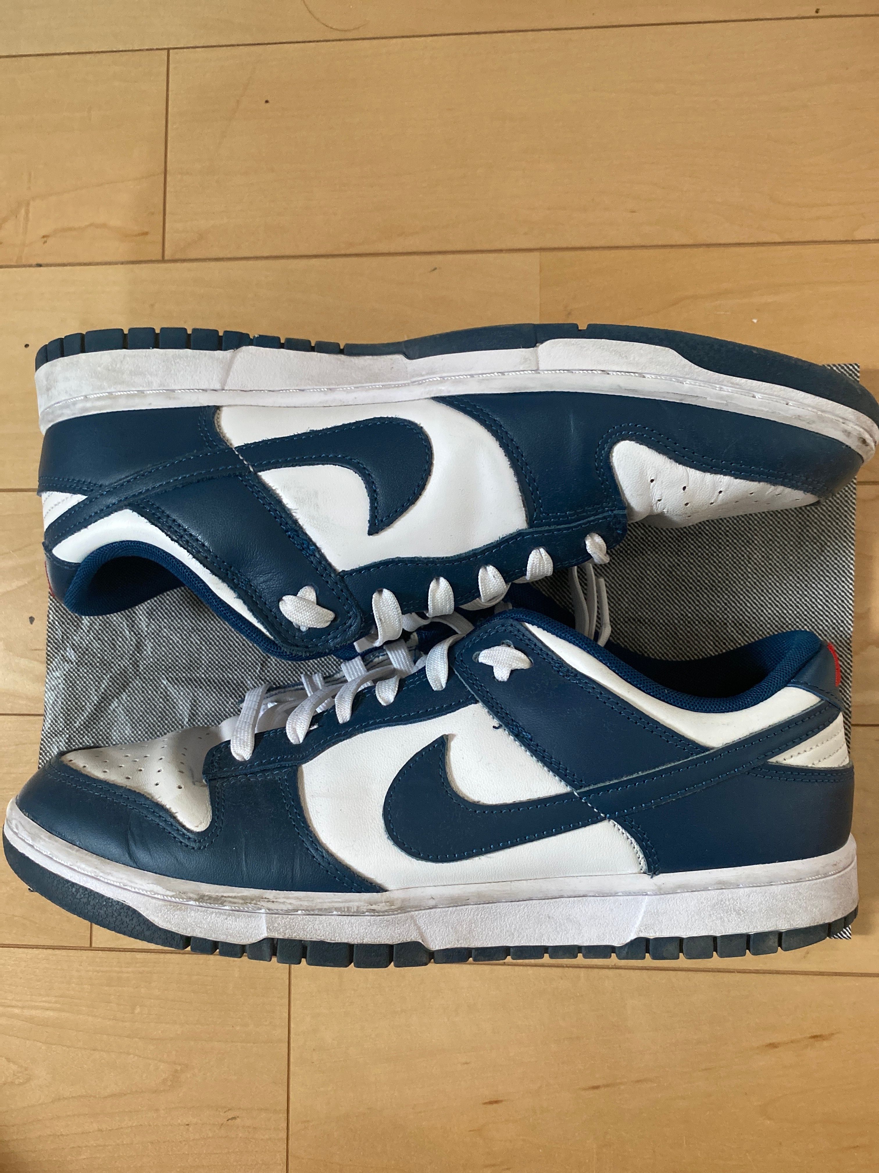 Nike Dunk Low "Valerian Blue"