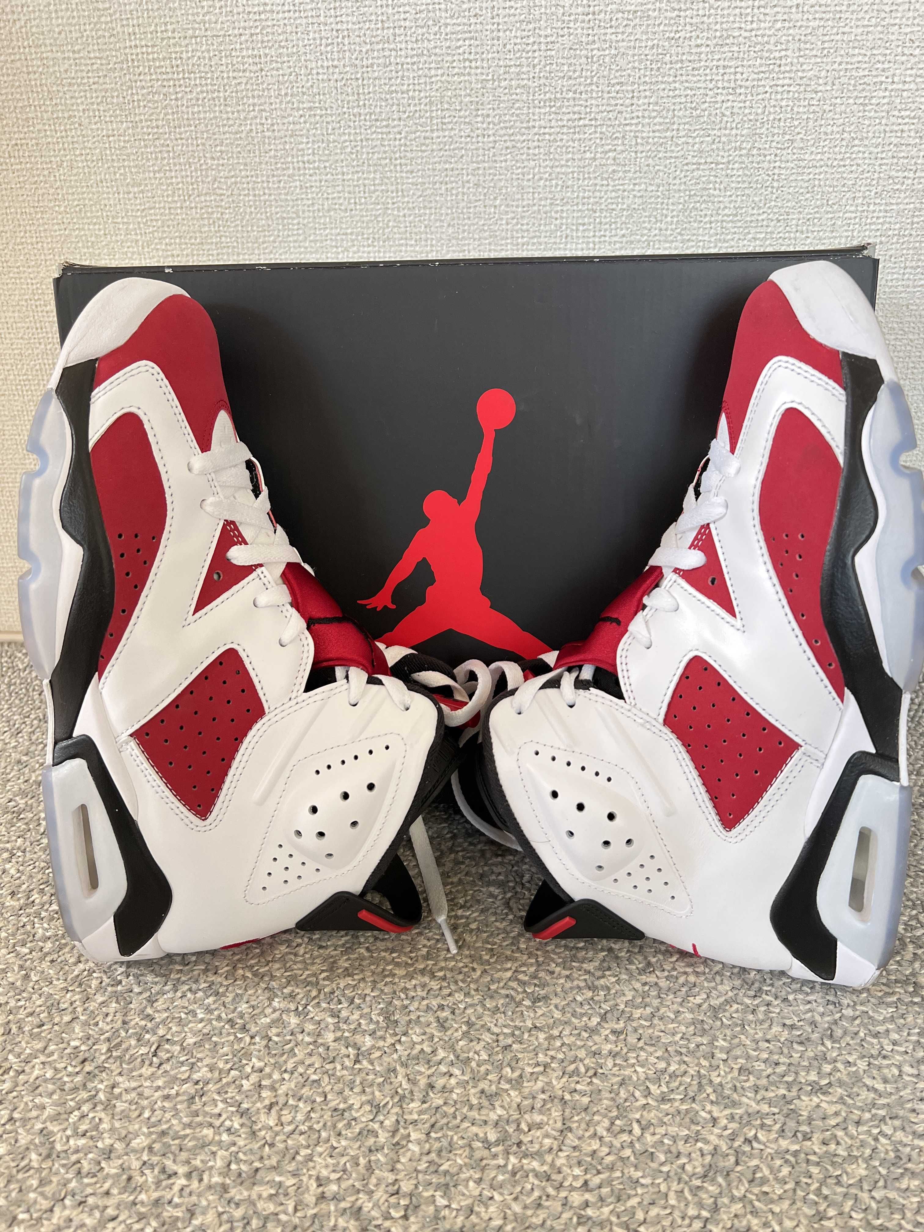 Nike Air Jordan 6 "Carmine" (2021)