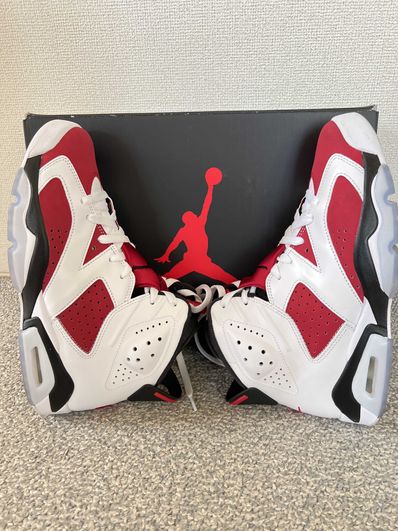 Nike Air Jordan 6 "Carmine" (2021)