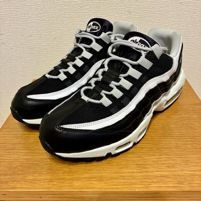 Nike Air Max 95 By You & Unlocked By You (NIKEiD)