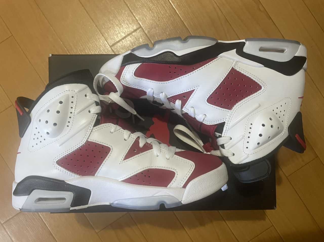 Nike Air Jordan 6 "Carmine" (2021)