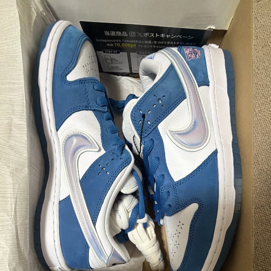 ボーンレイズド × ナイキ SB ダンク ロー プロ QS "ワン ブロック アット ア タイム"