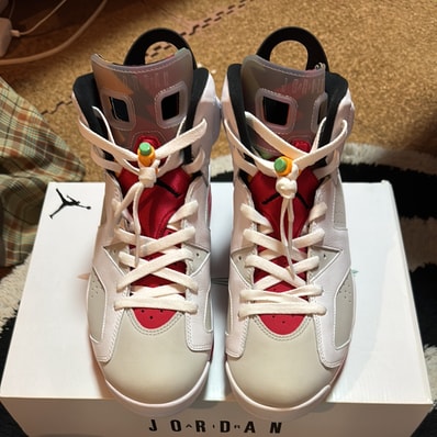 Nike Air Jordan 6 "Neutral Grey/Hare"