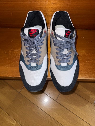 Nike Air Max 1 PRM "Escape"