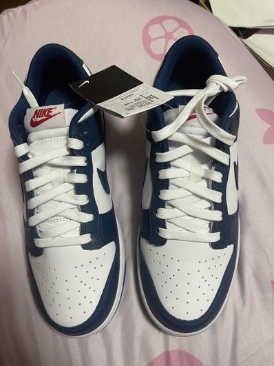 Nike Dunk Low "Valerian Blue"