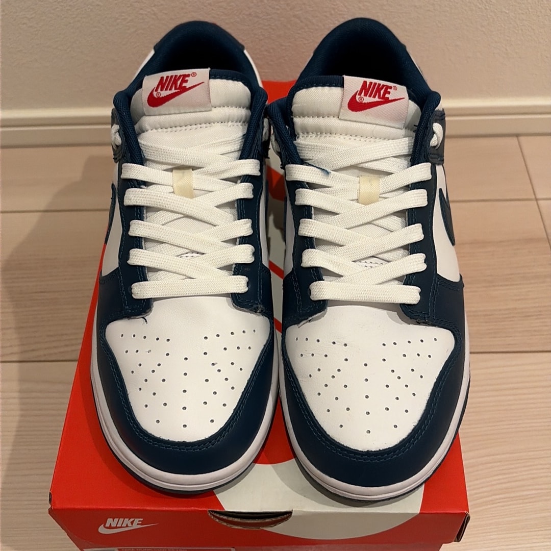 Nike Dunk Low "Valerian Blue"