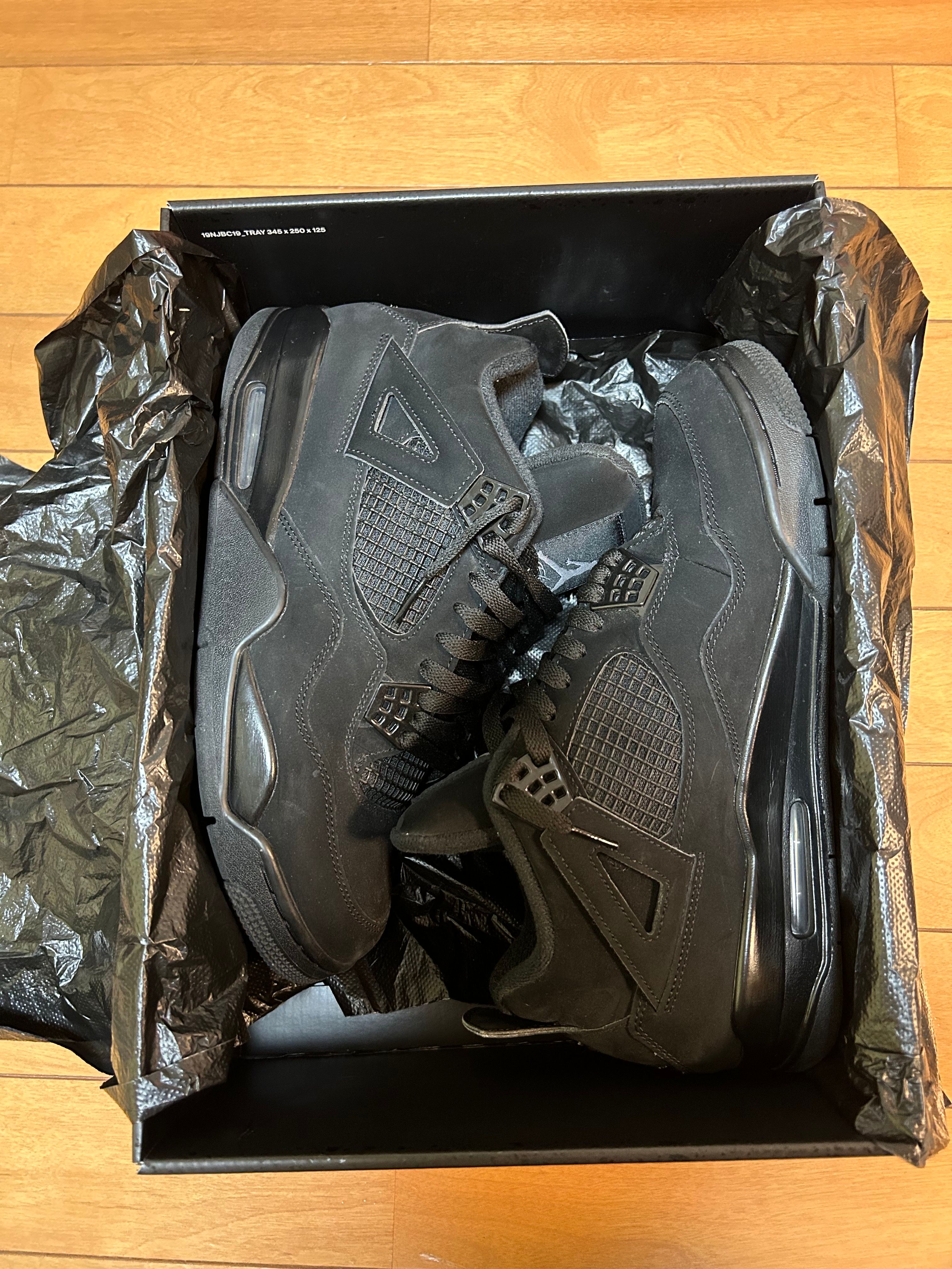 Nike Air Jordan 4 "Black Cat"