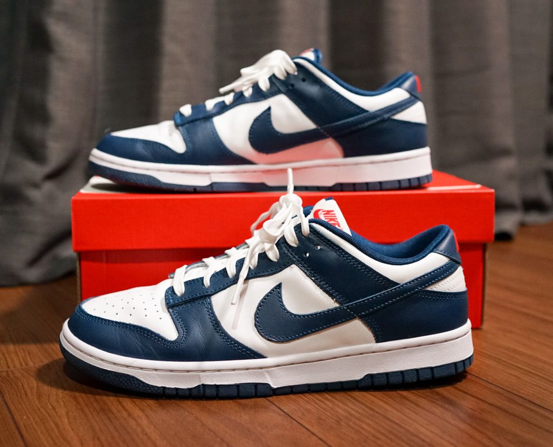 Nike Dunk Low "Valerian Blue"