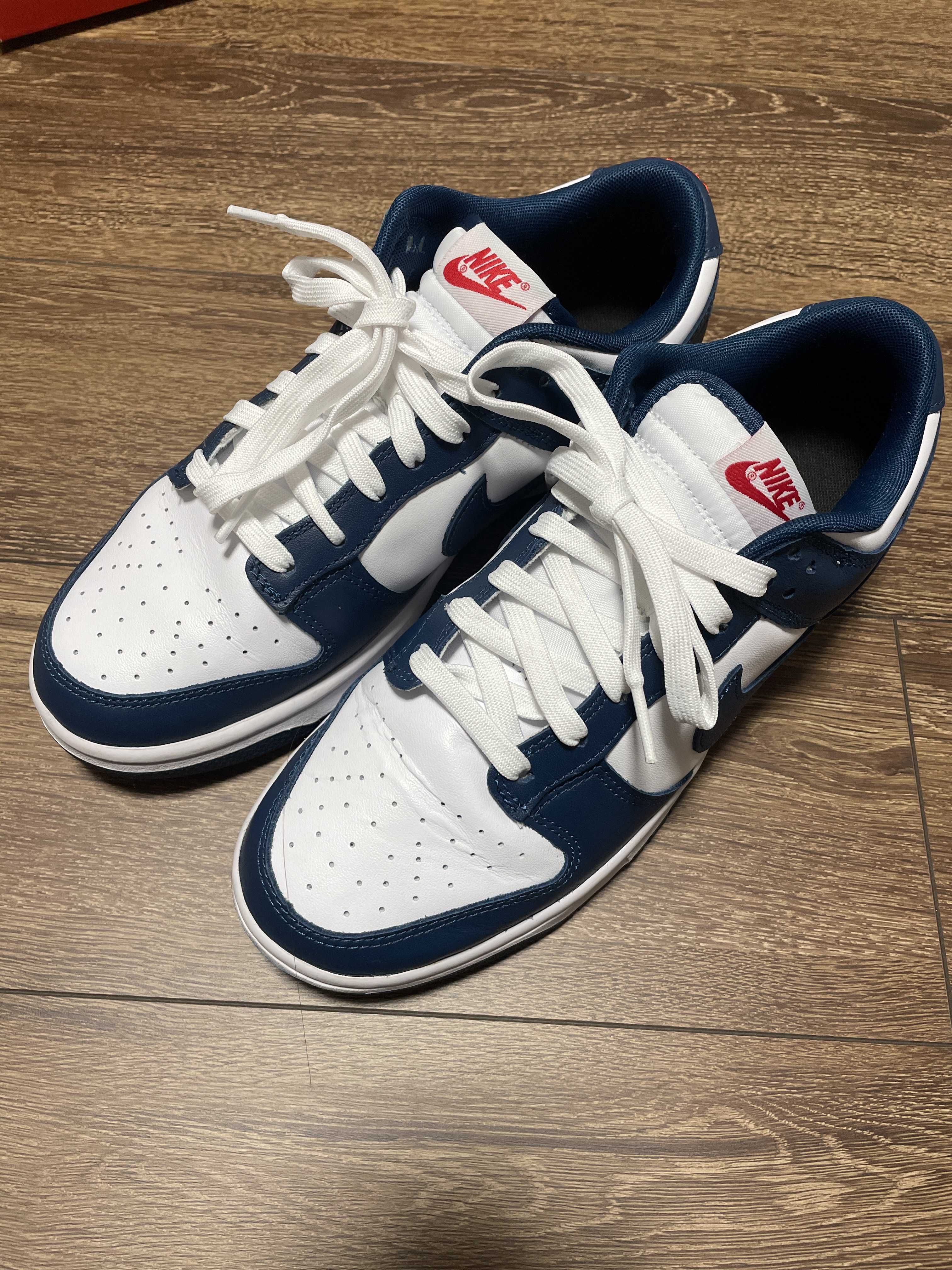 Nike Dunk Low "Valerian Blue"