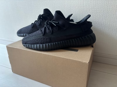 adidas YEEZY Boost 350V2 "Onyx"