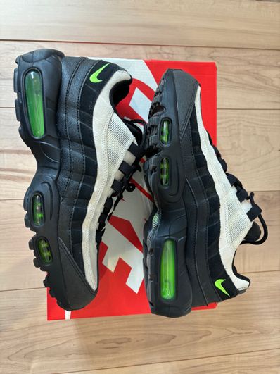 Nike Air Max 95 "Antifreeze" (2019)