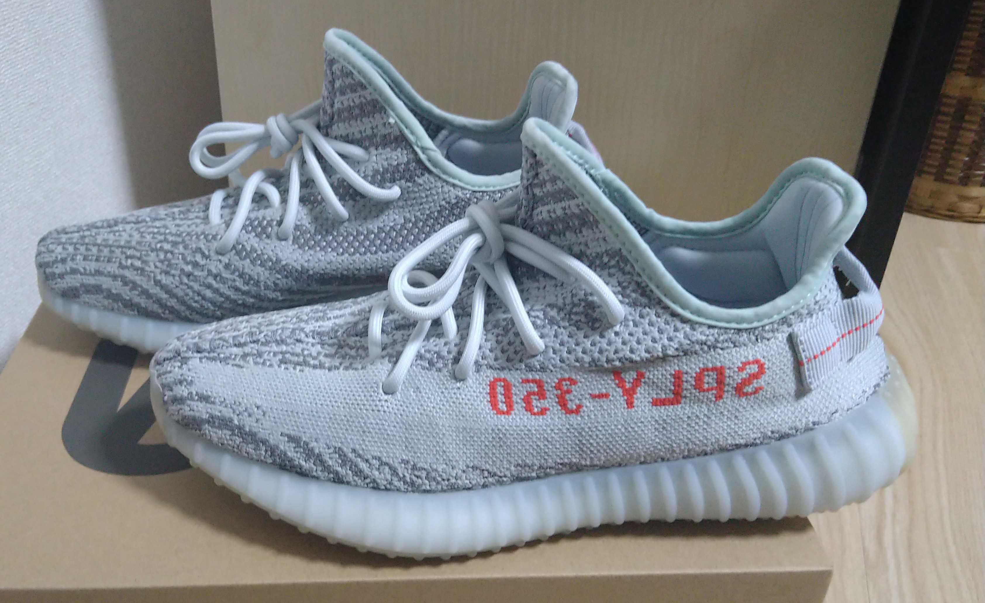 adidas YEEZY Boost 350 V2 "Blue Tint"