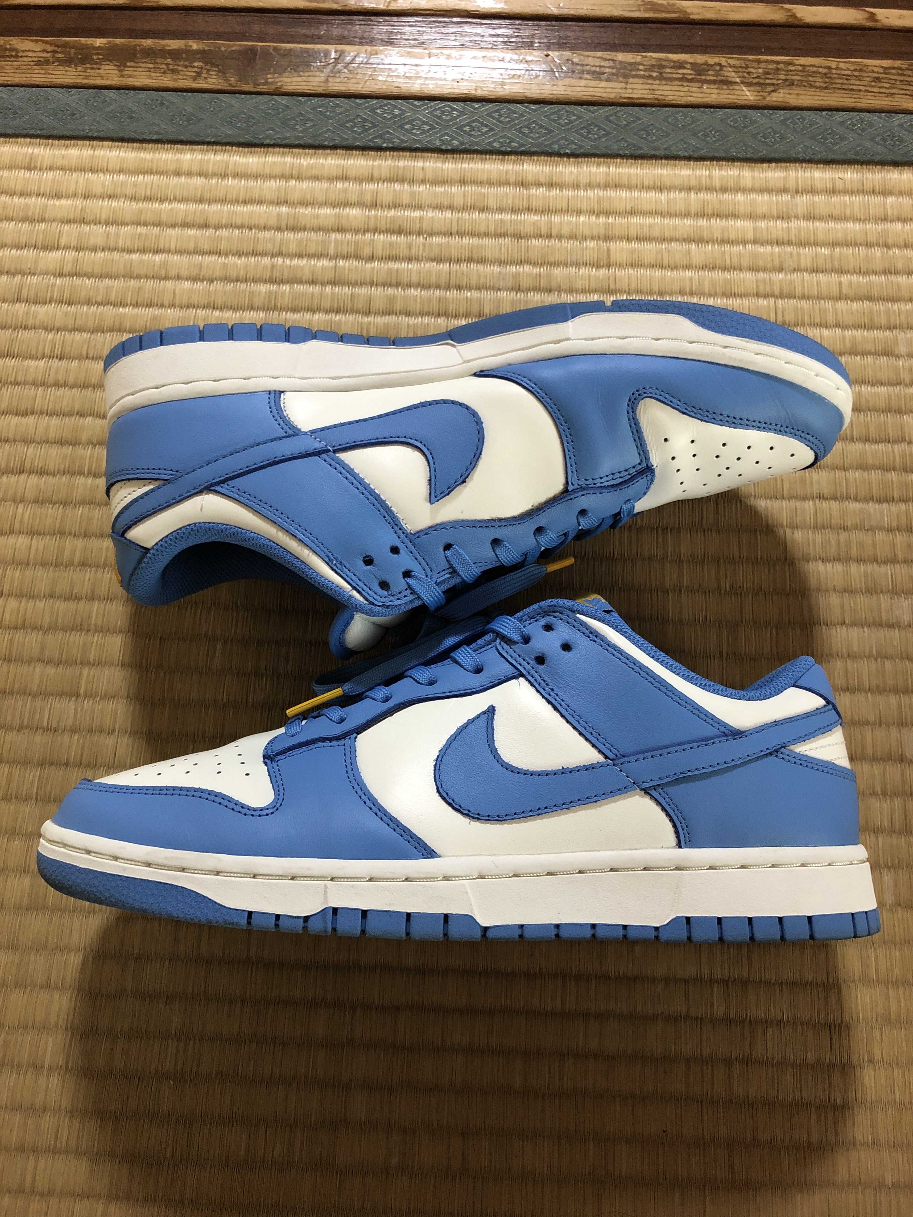 Nike Women's Dunk Low "Coast"