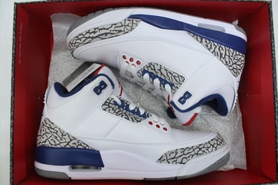 Nike Air Jordan 3 Retro "True Blue" (2016)
