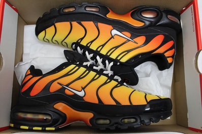 Nike Air Max Plus "Tiger"