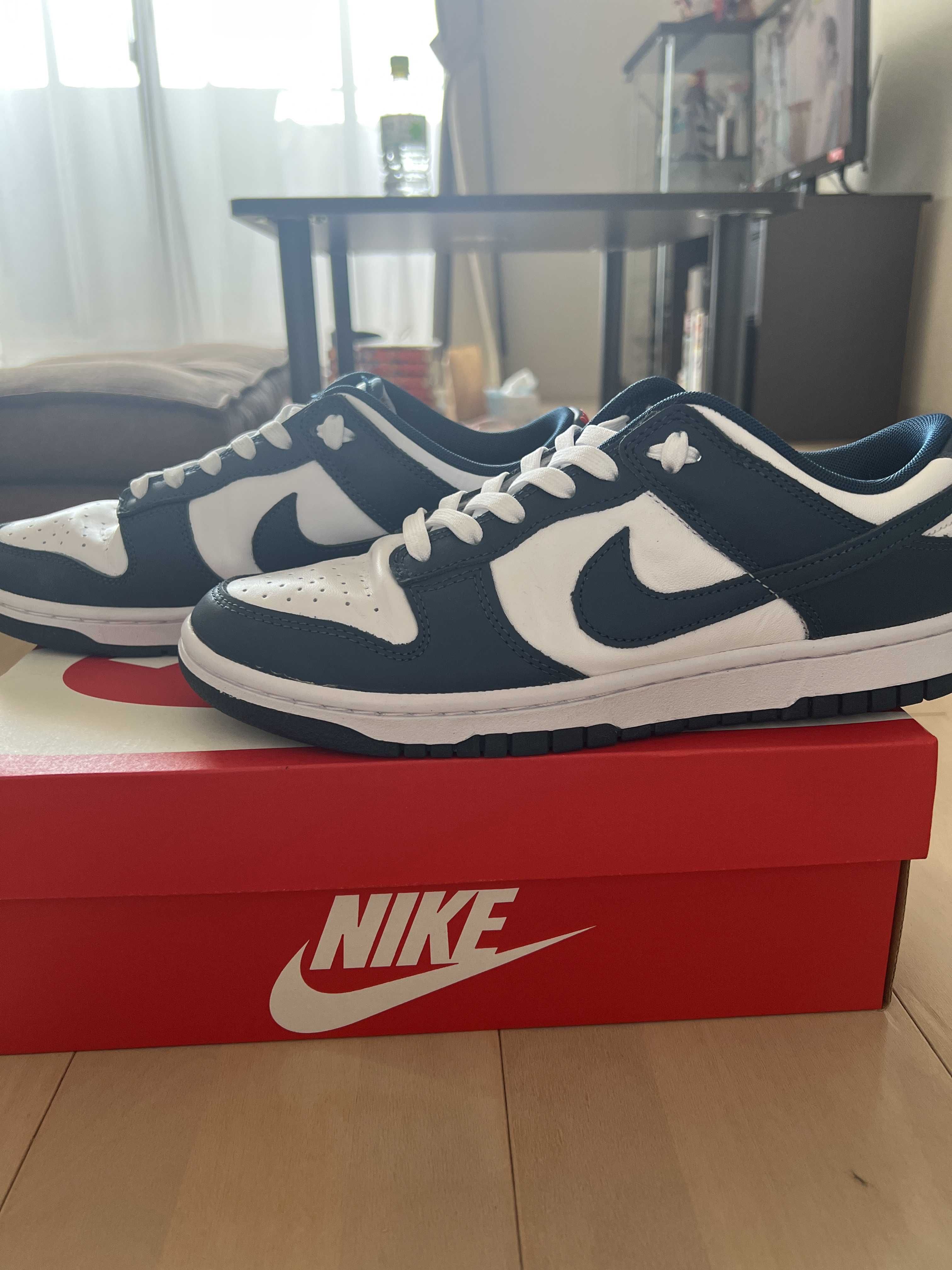 Nike Dunk Low "Valerian Blue"