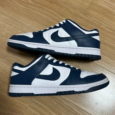 Nike Dunk Low "Valerian Blue"