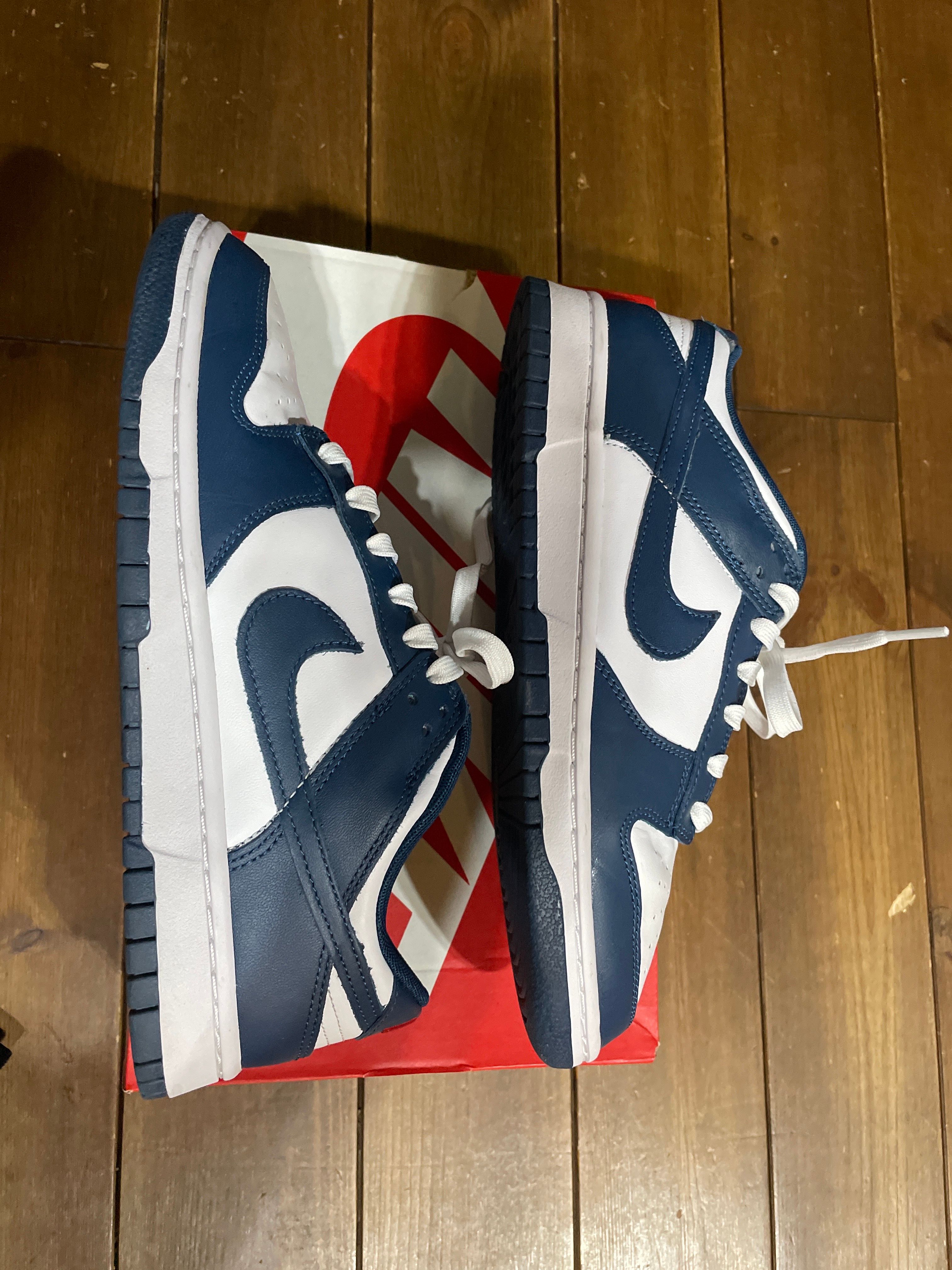 Nike Dunk Low "Valerian Blue"