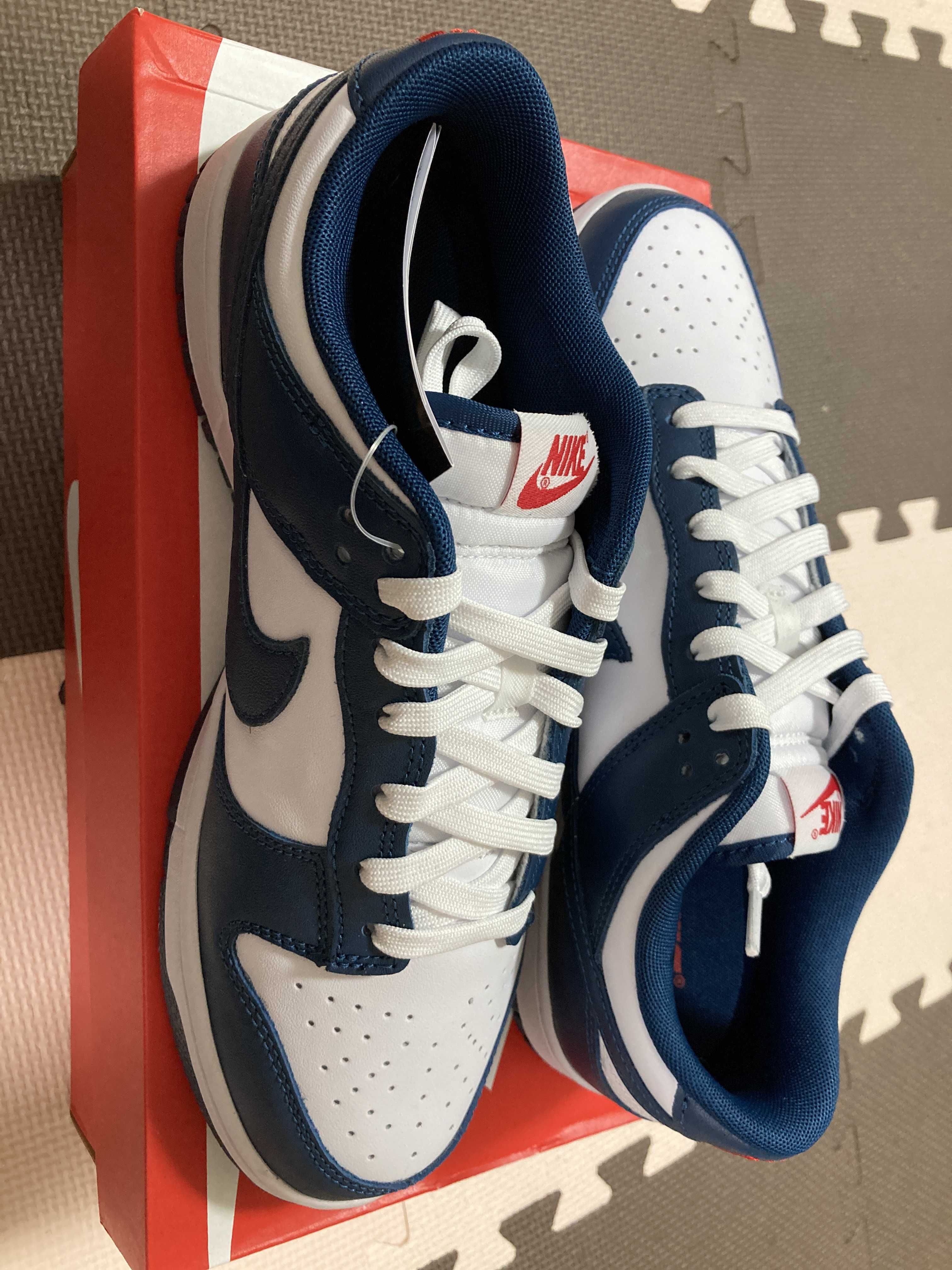 Nike Dunk Low "Valerian Blue"