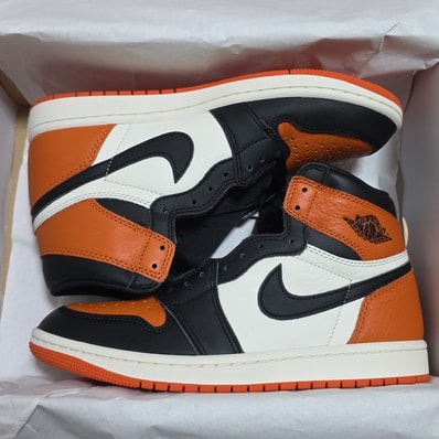 Nike Air Jordan 1 Retro High OG "Shattered Backboard" (2025)