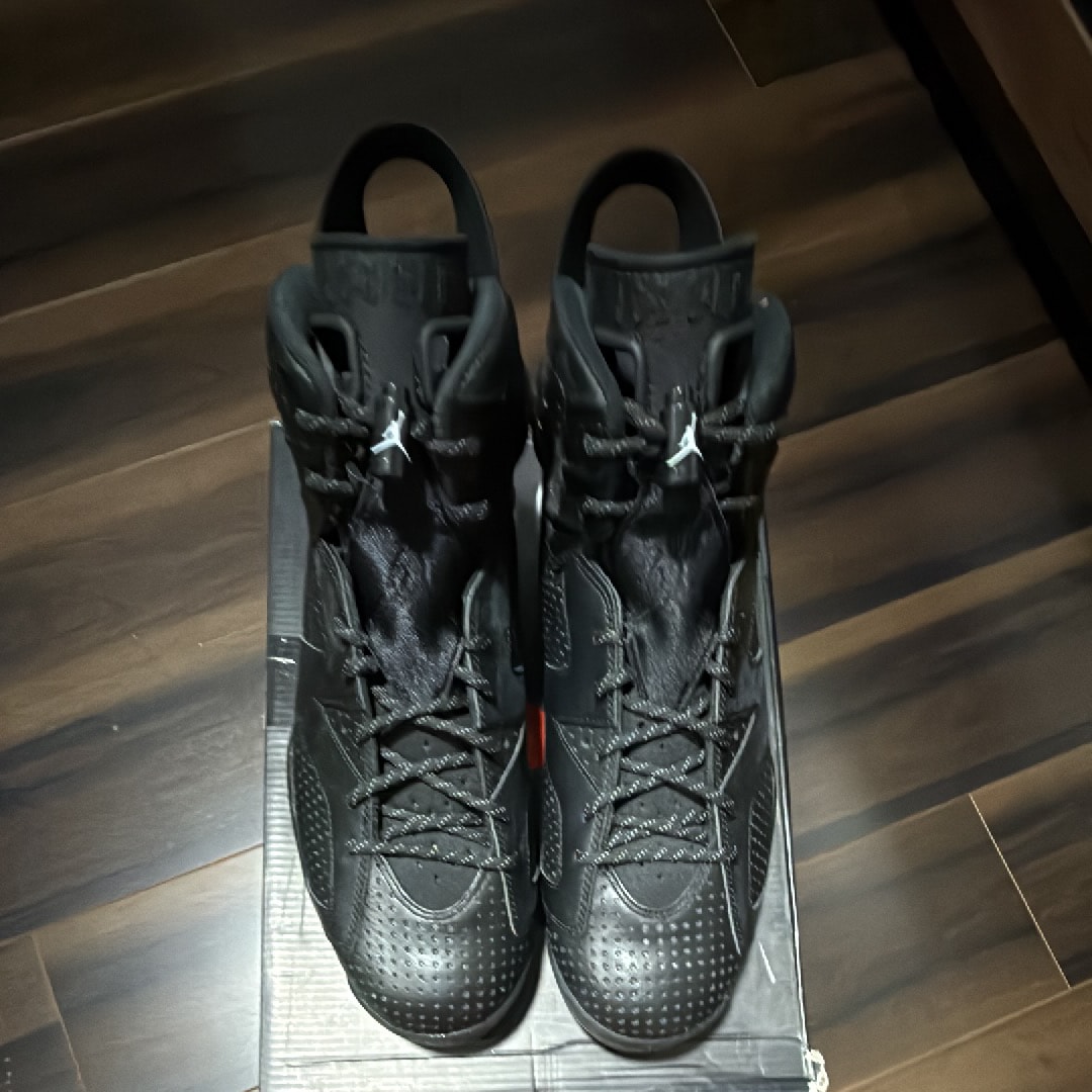 Nike Air Jordan 6 Retro "Black Cat"