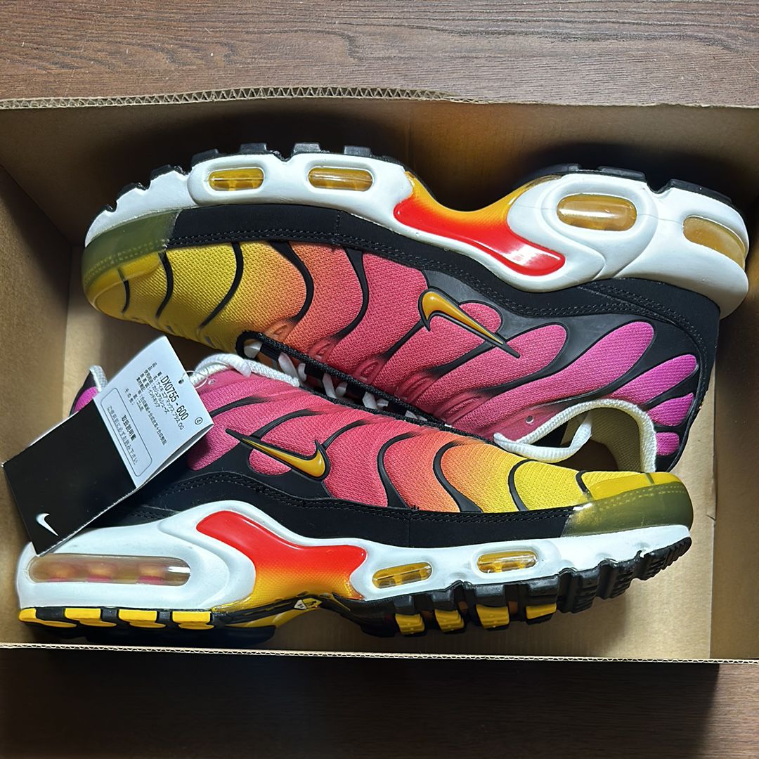 Nike Air Max Plus OG "Gradient"(2023)