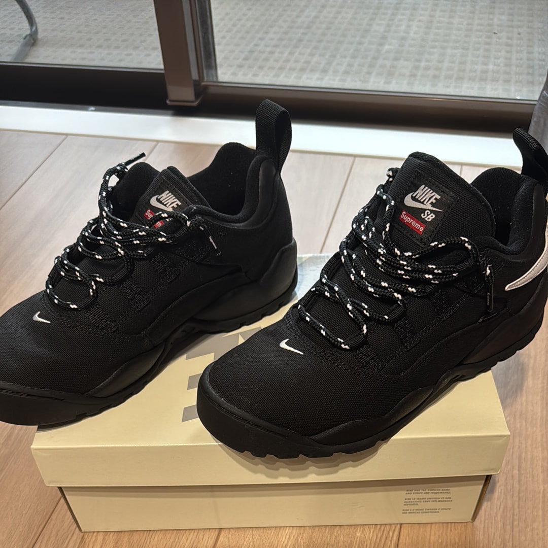 Supreme × Nike SB Darwin Low "Black"