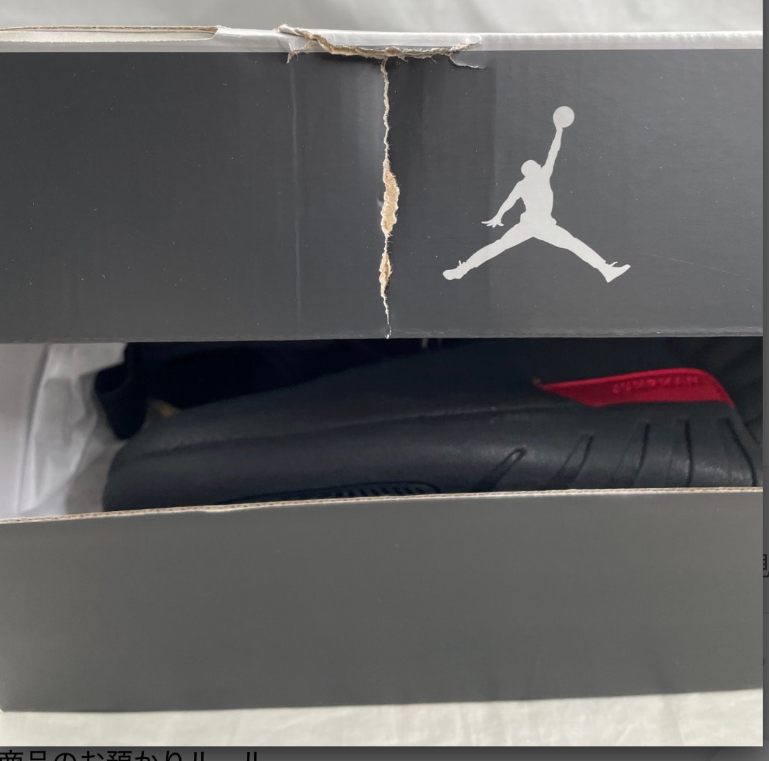 Nike Air Jordan 12 Retro "Bloodline"