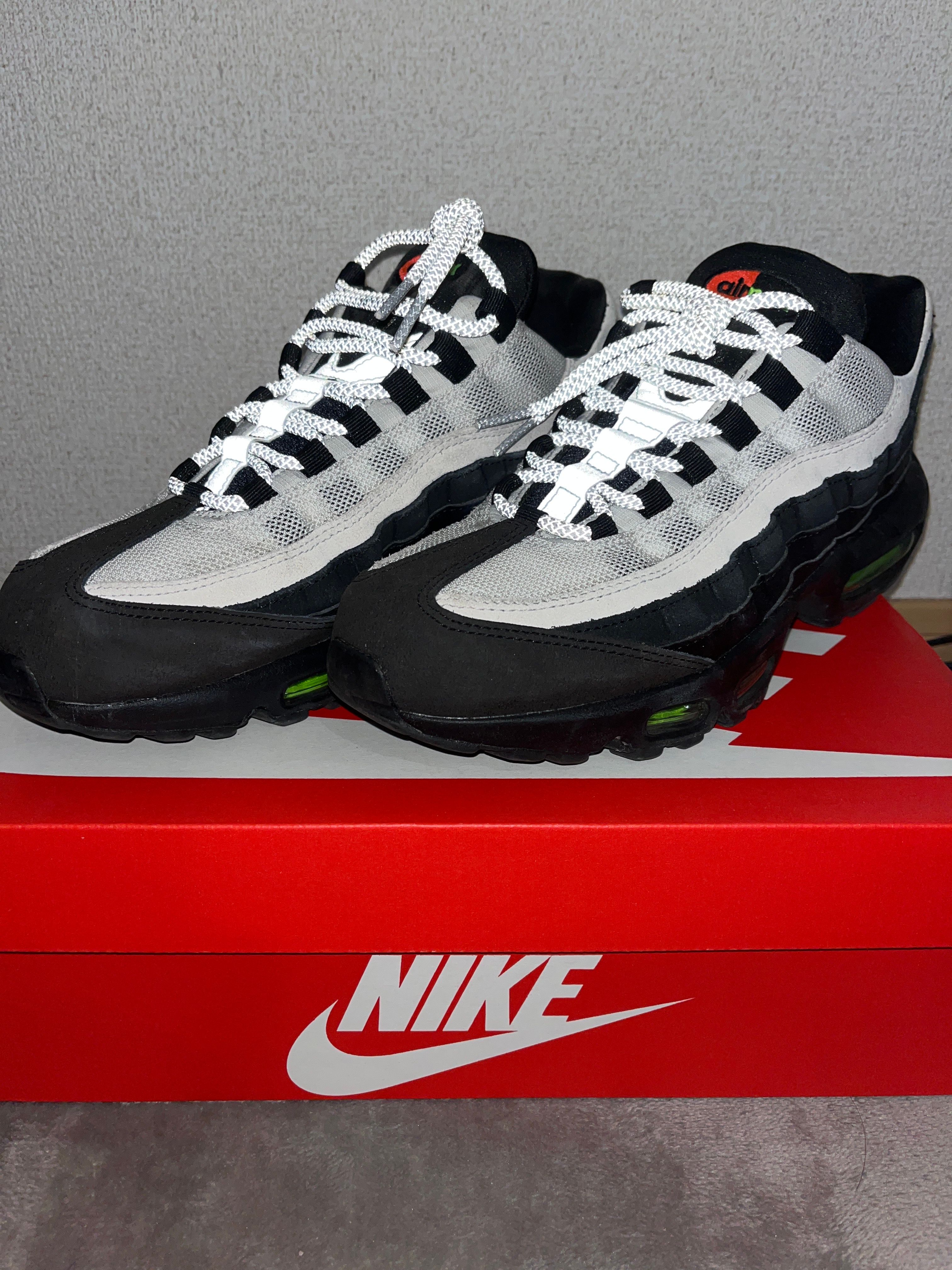 Nike Air Max 95 "Antifreeze" (2019)