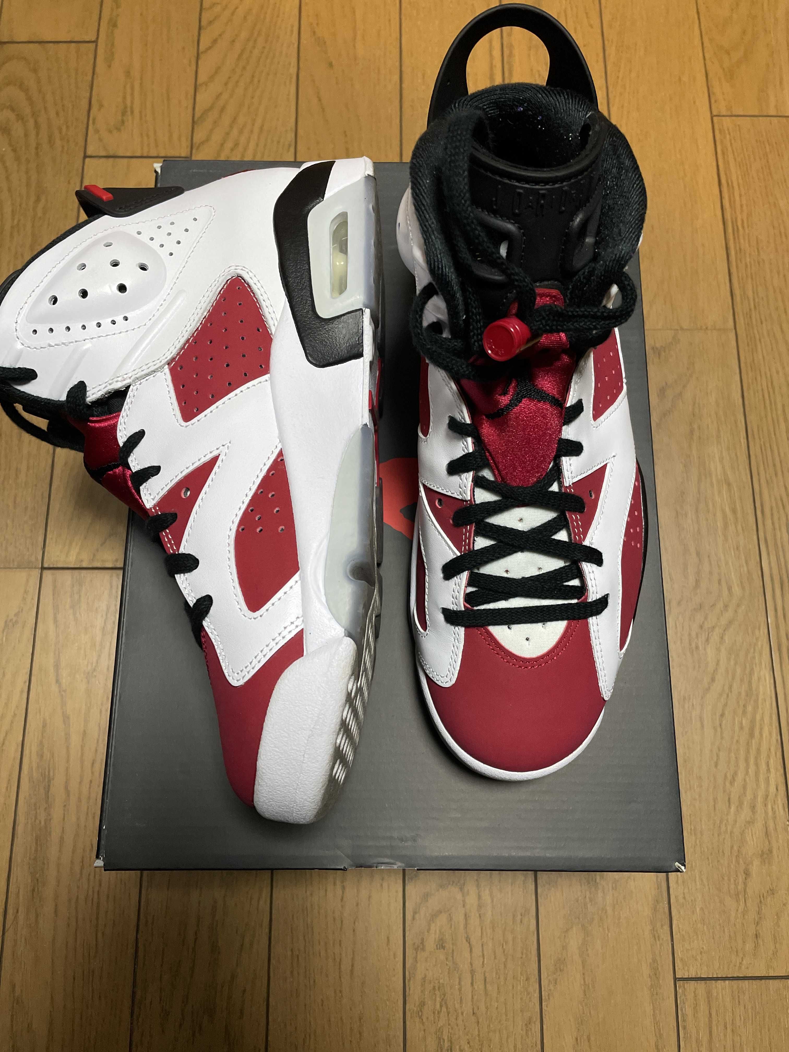 Nike Air Jordan 6 "Carmine" (2021)