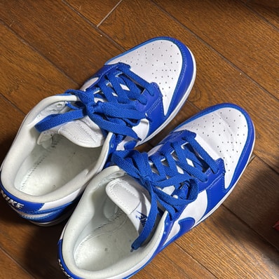 Nike Dunk Low SP "Varsity Royal/Kentucky"