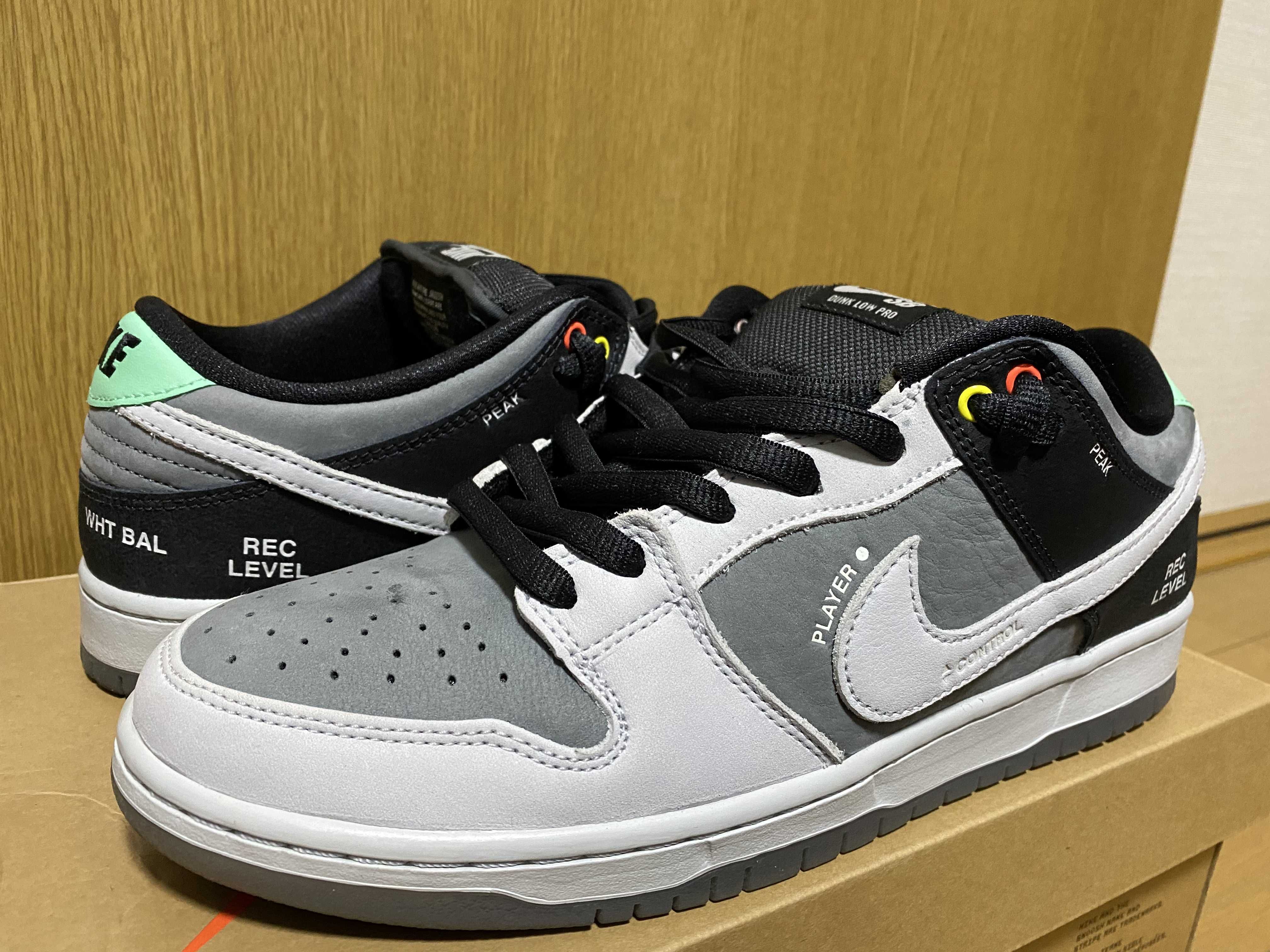 Nike SB Dunk Low Pro "VX1000 Camcorder"