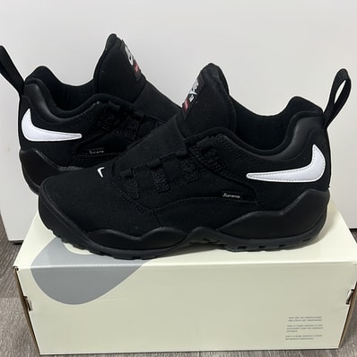 Supreme × Nike SB Darwin Low "Black"