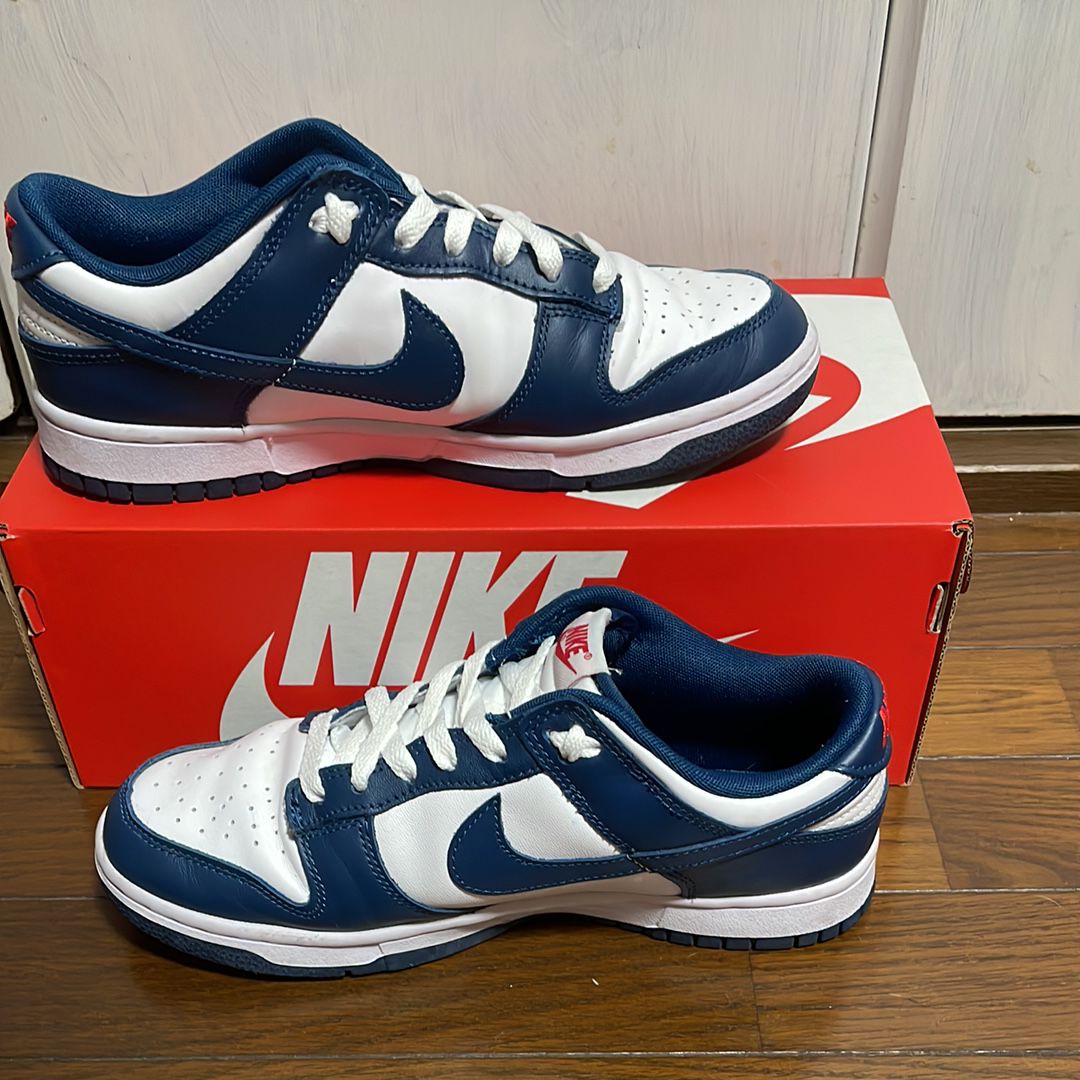 Nike Dunk Low "Valerian Blue"