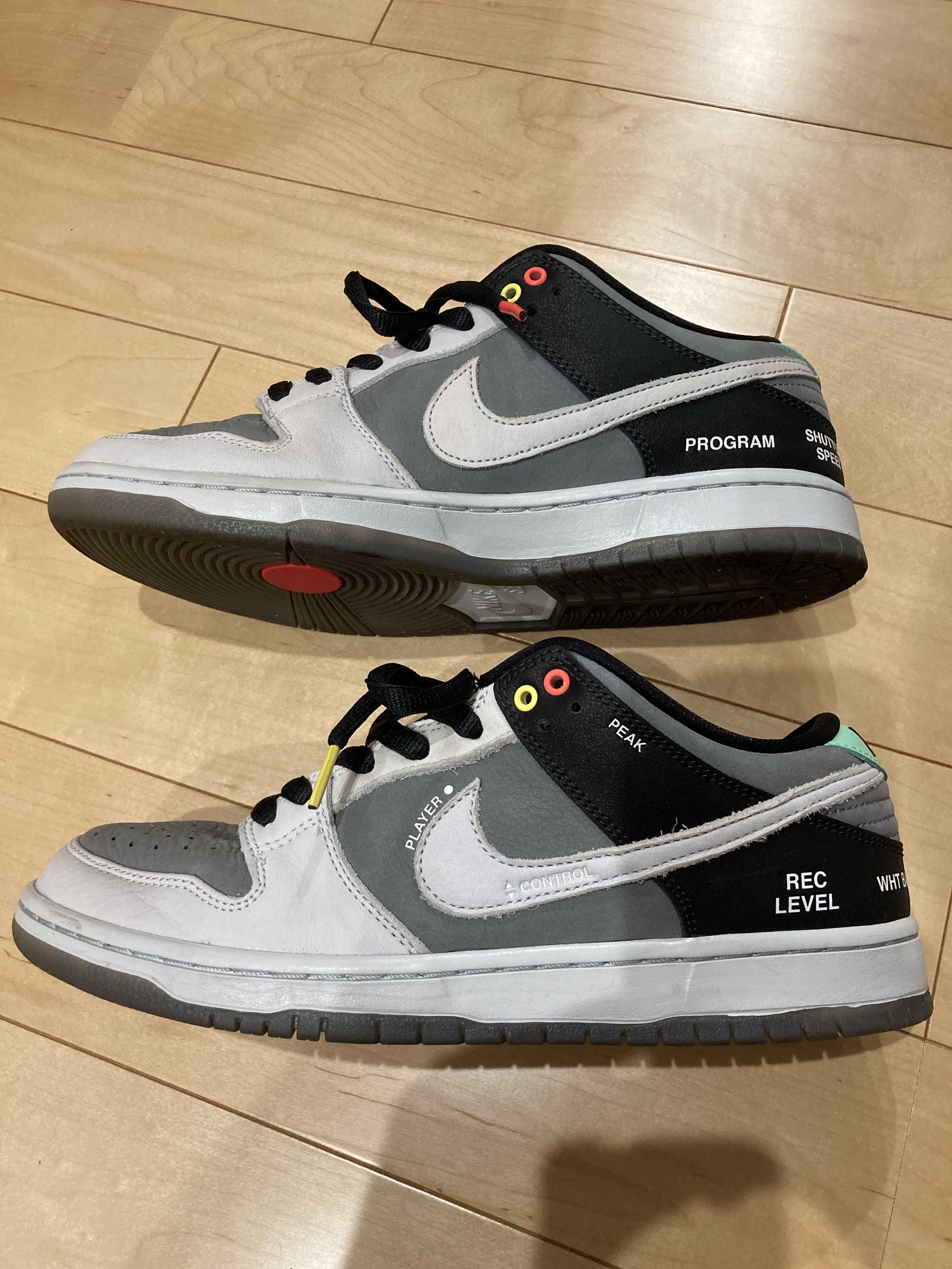 Nike SB Dunk Low Pro "VX1000 Camcorder"