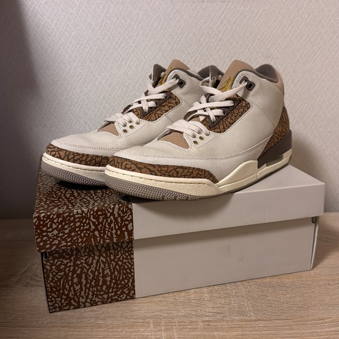 Nike Air Jordan 3 Retro "Orewood Brown"