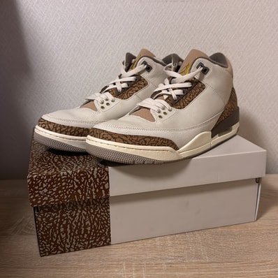Nike Air Jordan 3 Retro "Orewood Brown"