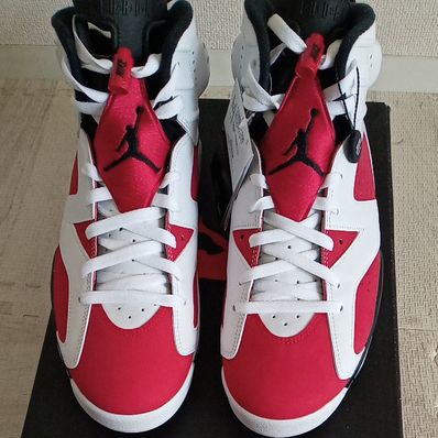 Nike Air Jordan 6 "Carmine" (2021)
