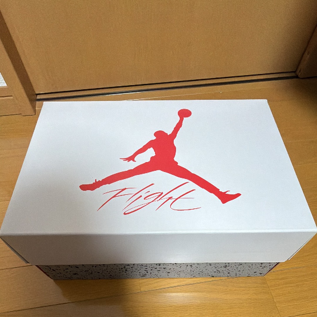 Nike Air Jordan 4 "Tech White"