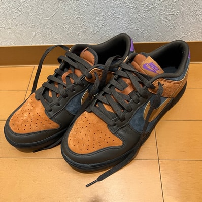 Nike Dunk Low "Cider"