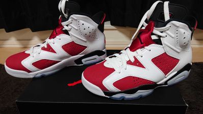 Nike Air Jordan 6 "Carmine" (2021)