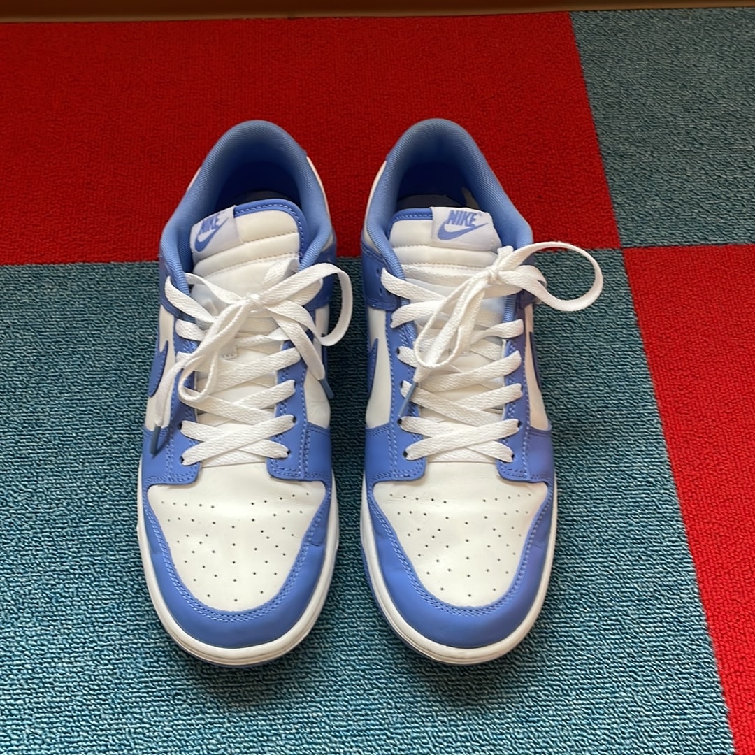 Nike Dunk Low Retro BTTYS "Polar Blue"